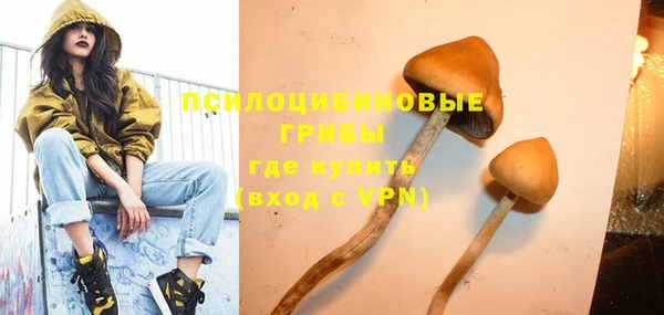 гидра Белокуриха