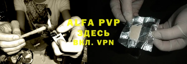 гидра Белокуриха