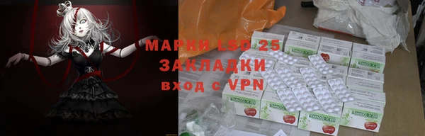 гидра Белокуриха