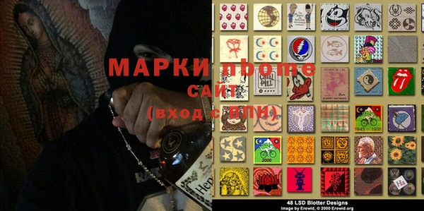 гидра Белокуриха