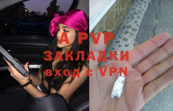 гидра Белокуриха