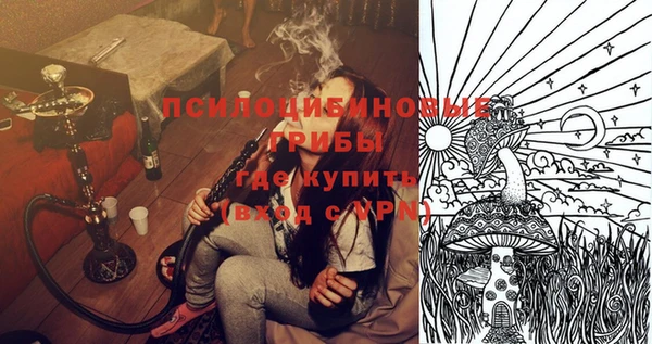 mdpv Ладушкин